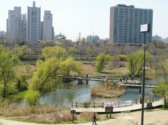 Parc écologique Yeouido Saetgang